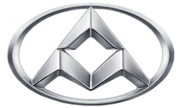 LDV-Logo